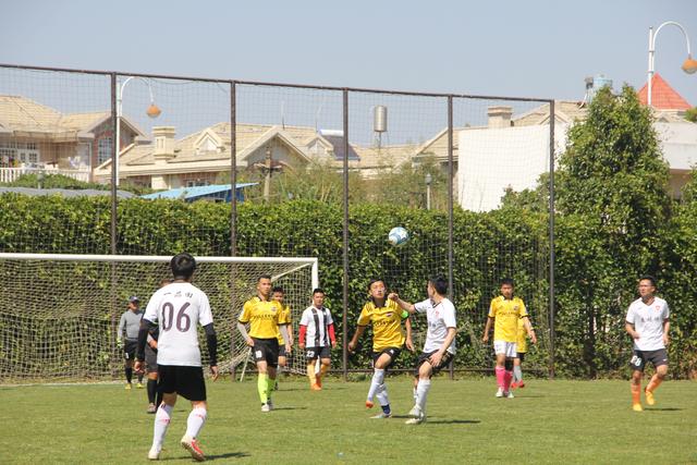 NBA杯淘汰赛迎火勇大战 黑马队领跑夺冠赔率